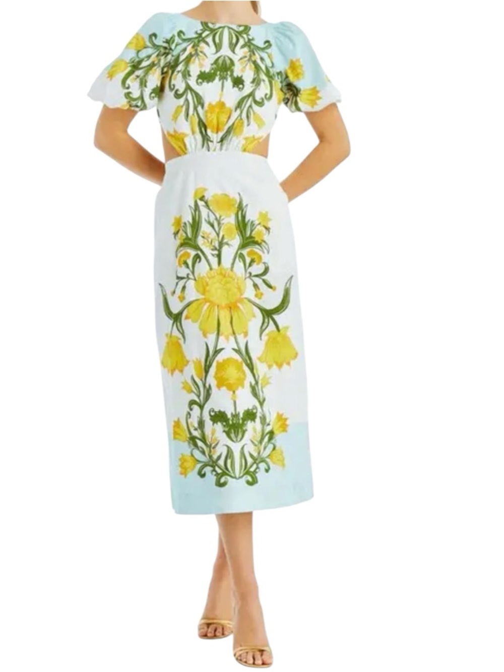 Mestiza NY Eileen Midi Dress ($395 retail)